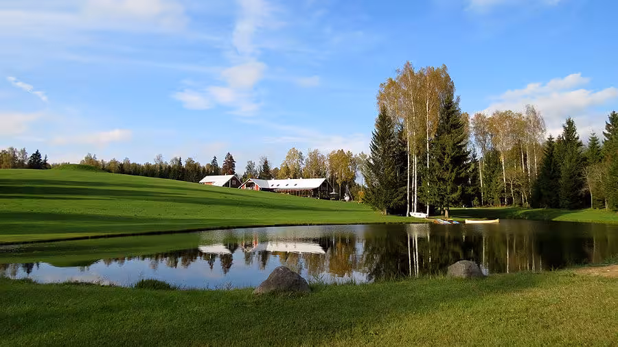 Suur tiik Väike-Trommil
